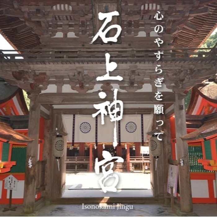 画像290