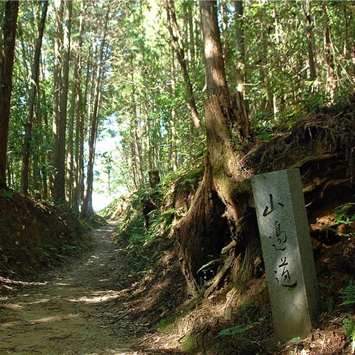 画像300
