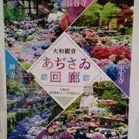 画像306
