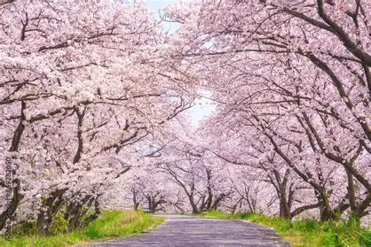 団体様・小グループの皆様、連泊できます！